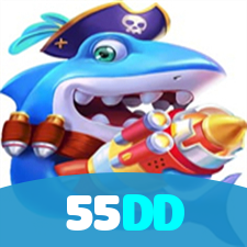 55DD visual