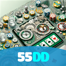 55DD visual