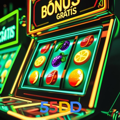 55DD visual