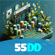 55DD visual