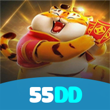 55DD visual