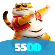 55DD visual