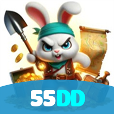 55DD visual