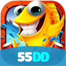 55DD visual