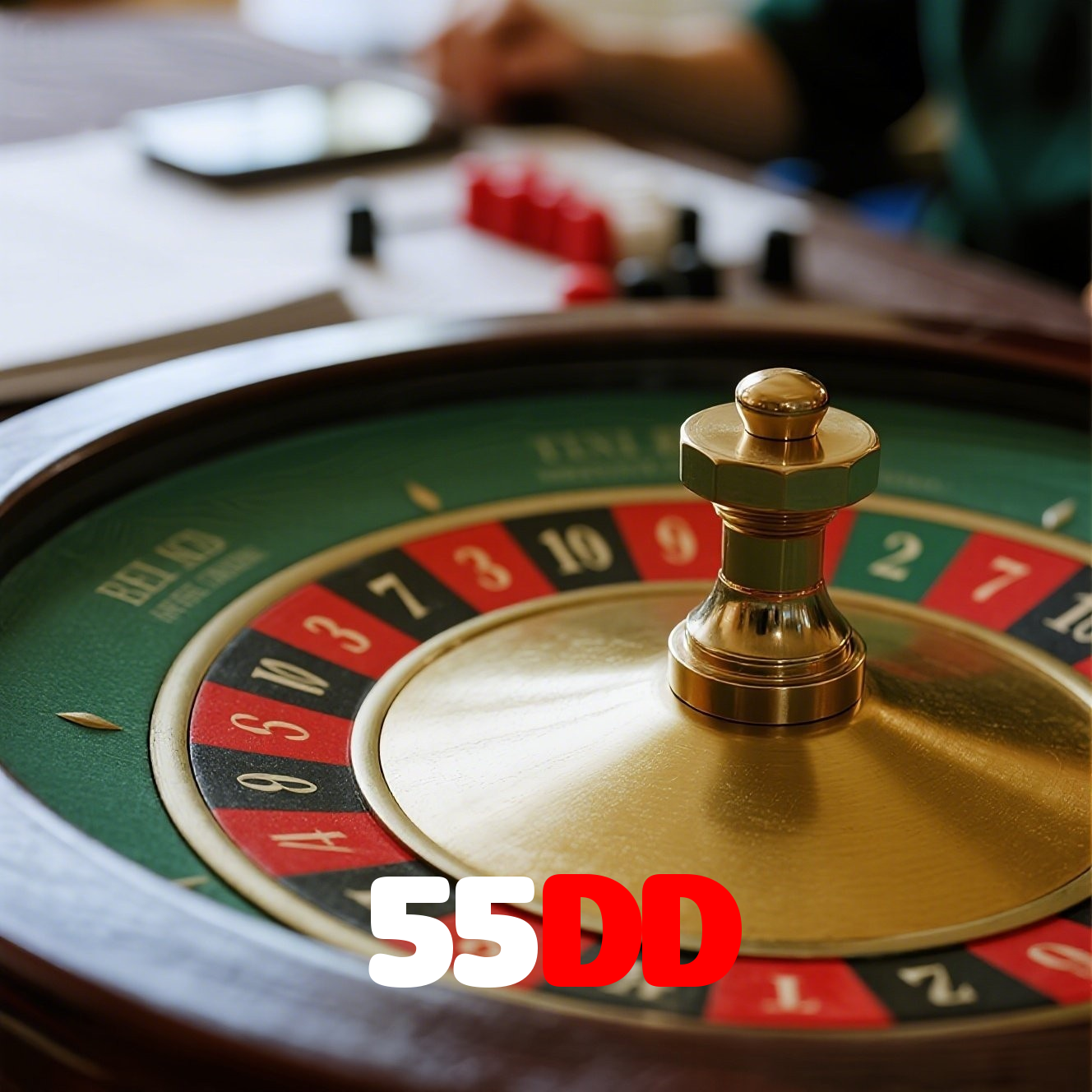 55DD visual