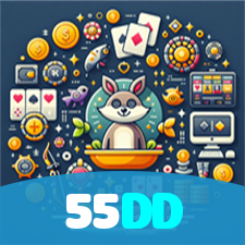 55DD visual