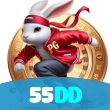 55DD visual
