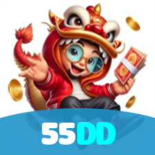 55DD visual