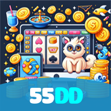 55DD visual