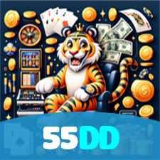 55DD visual