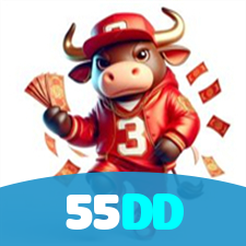 55DD visual