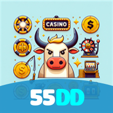 55DD visual