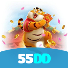 55DD visual