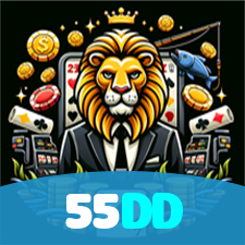 55DD visual