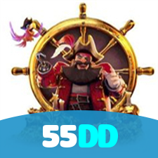 55DD visual