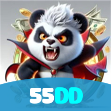 55DD visual