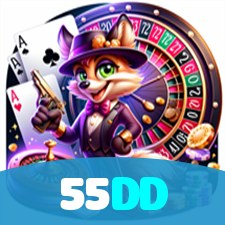 55DD visual