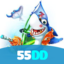 55DD visual