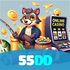 55DD visual