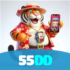 55DD visual