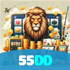 55DD visual