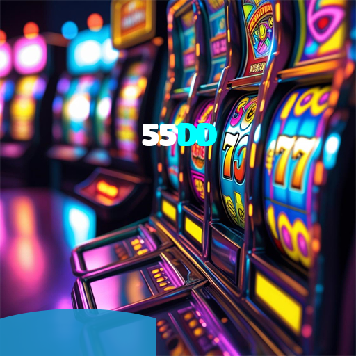 55DD visual