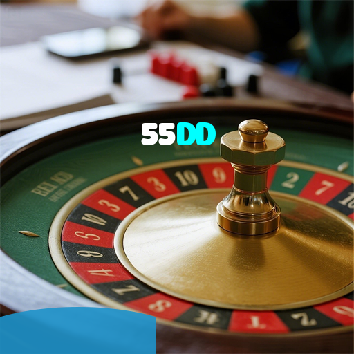 55DD visual