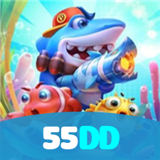 55DD visual