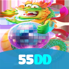 55DD visual