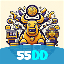 55DD visual