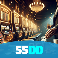 55DD visual