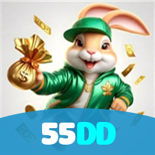 55DD visual