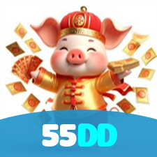 55DD visual