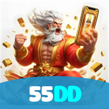 55DD visual