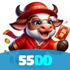 55DD visual