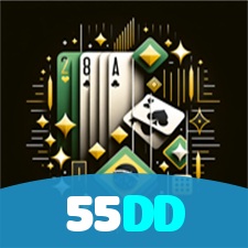 55DD visual