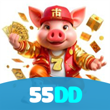 55DD visual